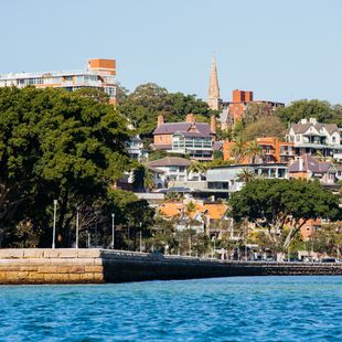 Rushcutters Bay sea wall restoration