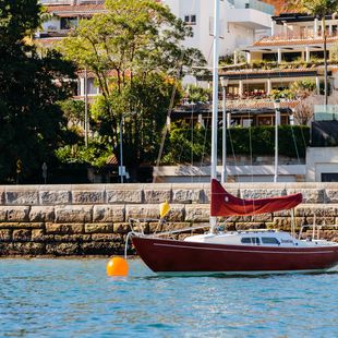 Rushcutters Bay sea wall restoration